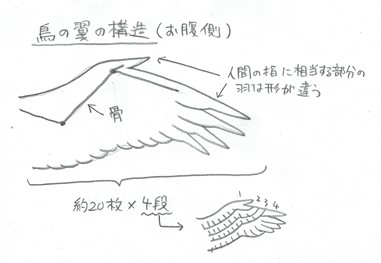 色々なドラゴンの描き方 モンスターを描こう